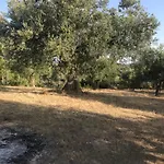 Mountain House Near Pyrgos Ilias