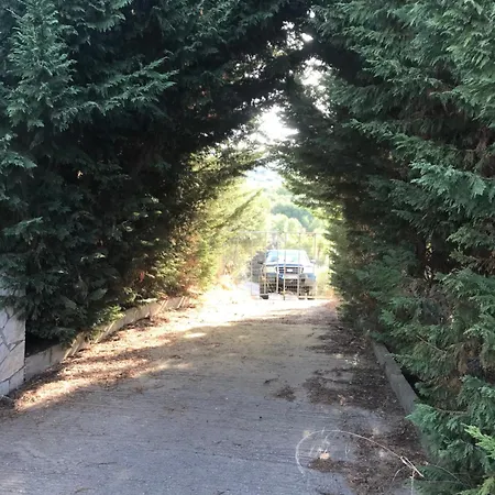 Mountain House Near Pyrgos Ilias