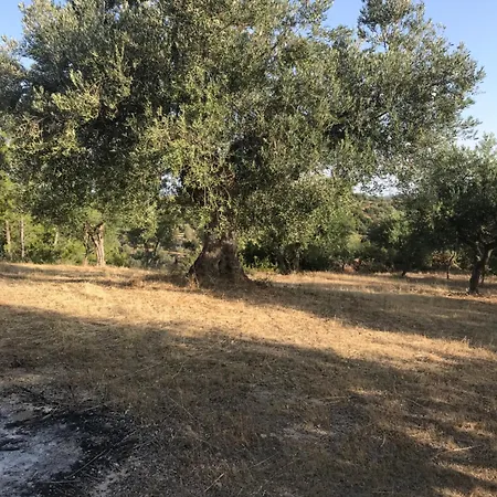 Mountain House Near Pyrgos Ilias