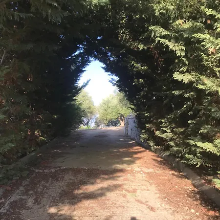 Mountain House Near Pyrgos Ilias *