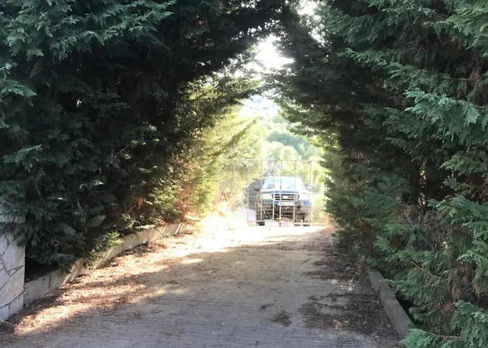Mountain House Near Pyrgos Ilias