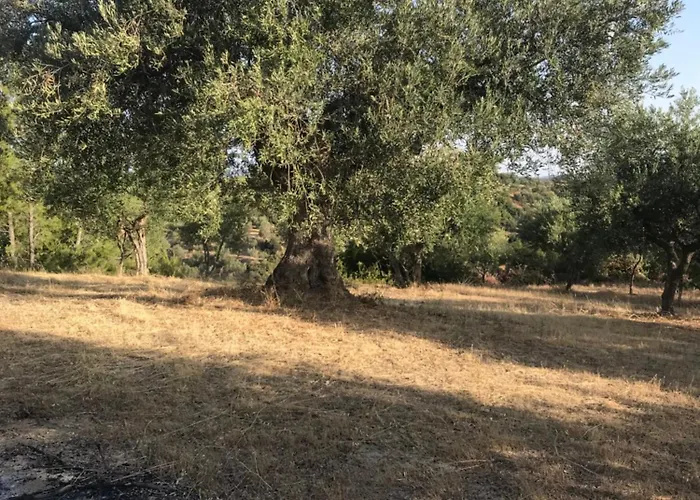 Mountain House Near Pyrgos Ilias