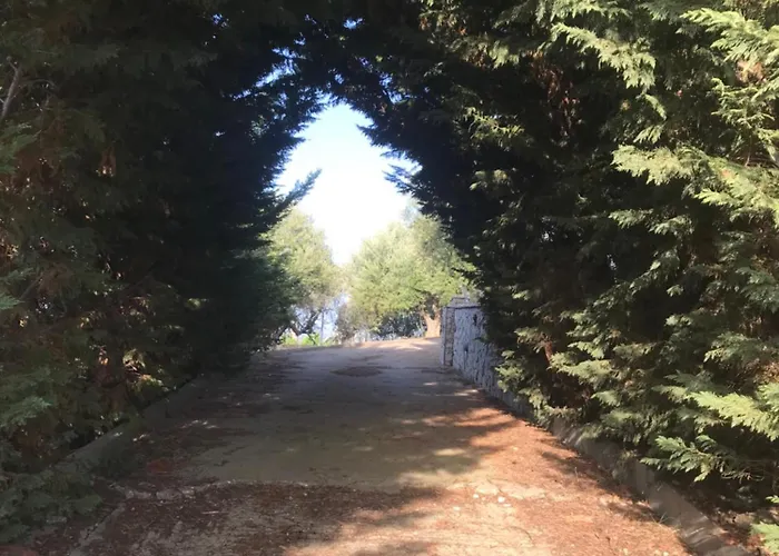 Mountain House Near Pyrgos Ilias *