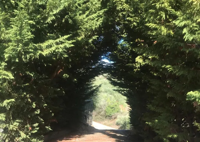 펜션 Mountain House Near Pyrgos Ilias Lambetion